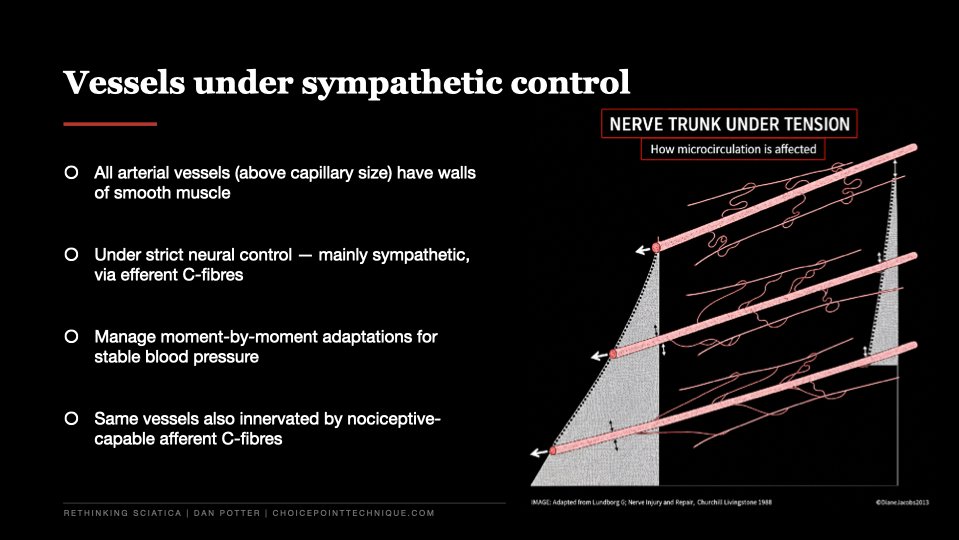 Slide 12 of 27