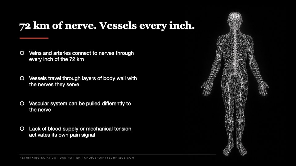Slide 13 of 27